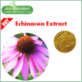 100% natürlicher Echinacea Extrakt